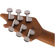 EVH Wolfgang Standard QM: Picture 10 thumbnail