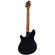 EVH WG Standard T.O.M.: Picture 2 thumbnail