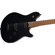 EVH WG Standard T.O.M.: Picture 4 thumbnail
