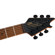 EVH WG Standard T.O.M.: Picture 5 thumbnail
