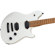 EVH WG Standard T.O.M.: Picture 4 thumbnail