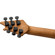 EVH WG Standard T.O.M.: Picture 6 thumbnail