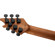 EVH WG Standard T.O.M.: Picture 6 thumbnail