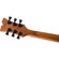 EVH SA 126 Standard: Picture 6 thumbnail