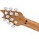 EVH Wolfgang Special QM: Picture 7 thumbnail
