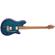 EVH Wolfgang Special QM: Picture 5 thumbnail