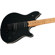EVH WG Special Maple T.O.M.: Picture 4 thumbnail