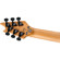 EVH WG Special Maple T.O.M.: Picture 6 thumbnail