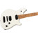 EVH WG Special Maple T.O.M.: Picture 4 thumbnail