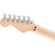 EVH Striped Series Circles: Picture 5 thumbnail