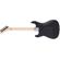 EVH 5150 Series Standard: Picture 3 thumbnail