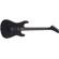 EVH 5150 Series Standard: Picture 5 thumbnail