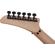 EVH 5150 Series Standard: Picture 9 thumbnail
