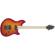 EVH Wolfgang Standard: Picture 1 thumbnail