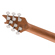 EVH Wolfgang WG Standard QM: Picture 6 thumbnail