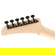 EVH Star Limited Edition TOM Electric Gu...: Picture 6 thumbnail