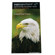 ExpoImaging ExpoAperture, Depth of Field Guide Combo Pack.: Picture 1 thumbnail