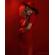 ExpoImaging Portrait Gel Kit: Picture 5 thumbnail