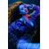 ExpoImaging Portrait Gel Kit: Picture 7 thumbnail