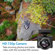 Force 1 U49WF: Picture 5 thumbnail