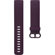 Fitbit Classic Band: Picture 4 thumbnail