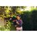 Fitbit Inspire HR: Picture 6 thumbnail