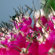 Fotodiox Macro Bellows: Picture 5 thumbnail