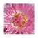 Fotodiox Vizelex Helicoid: Picture 1 thumbnail