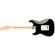 Fender American Pro Stratocaster: Picture 2 thumbnail