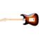 Fender American Pro Stratocaster: Picture 2 thumbnail