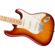 Fender American Pro Stratocaster: Picture 6 thumbnail