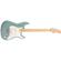 Fender American Pro Stratocaster: Picture 2 thumbnail