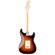Fender American Pro Stratocaster: Picture 2 thumbnail