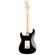 Fender Stratocaster HSS Shawbuck: Picture 1 thumbnail