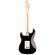 Fender Stratocaster HSS Shawbuck: Picture 5 thumbnail