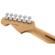 Fender Stratocaster HSS Shawbuck: Picture 5 thumbnail
