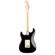 Fender American Pro Stratocaster: Picture 1 thumbnail