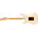 Fender American Pro II Strat: Picture 1 thumbnail