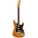 Fender American Pro II Strat: Picture 1 thumbnail