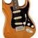 Fender American Pro II Strat: Picture 3 thumbnail
