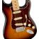 Fender American Pro II Strat: Picture 3 thumbnail