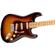 Fender American Pro II Strat: Picture 4 thumbnail