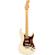 Fender American Pro II Strat: Picture 1 thumbnail