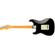 Fender American Pro II Strat: Picture 1 thumbnail