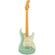 Fender American Pro II Strat: Picture 1 thumbnail