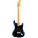 Fender American Pro II Strat: Picture 1 thumbnail