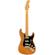 Fender American Pro II Strat: Picture 1 thumbnail