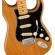Fender American Pro II Strat: Picture 3 thumbnail