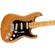 Fender American Pro II Strat: Picture 4 thumbnail