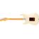 Fender American Pro II Strat HSS: Picture 1 thumbnail